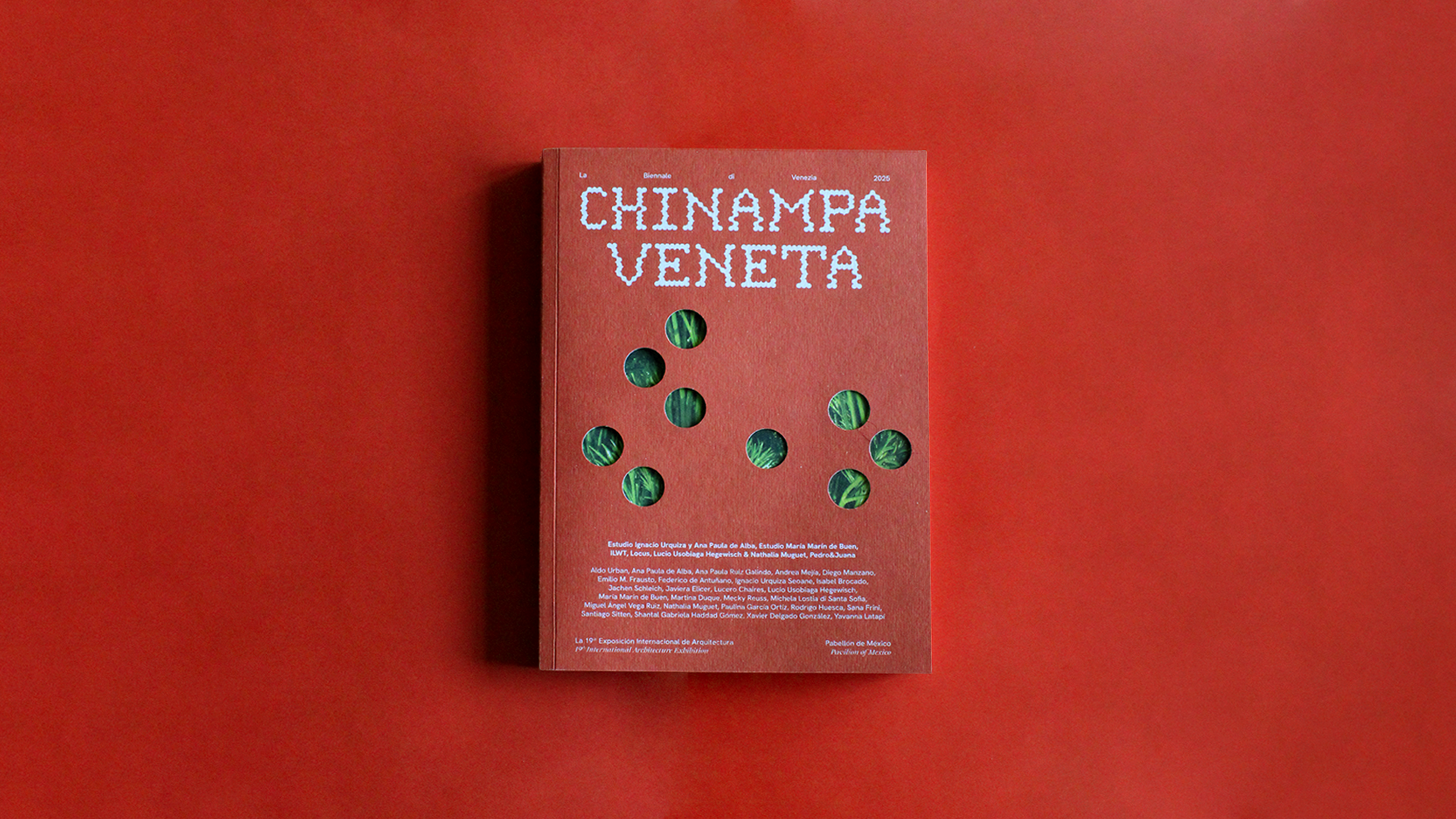 Chinampa Veneta 5