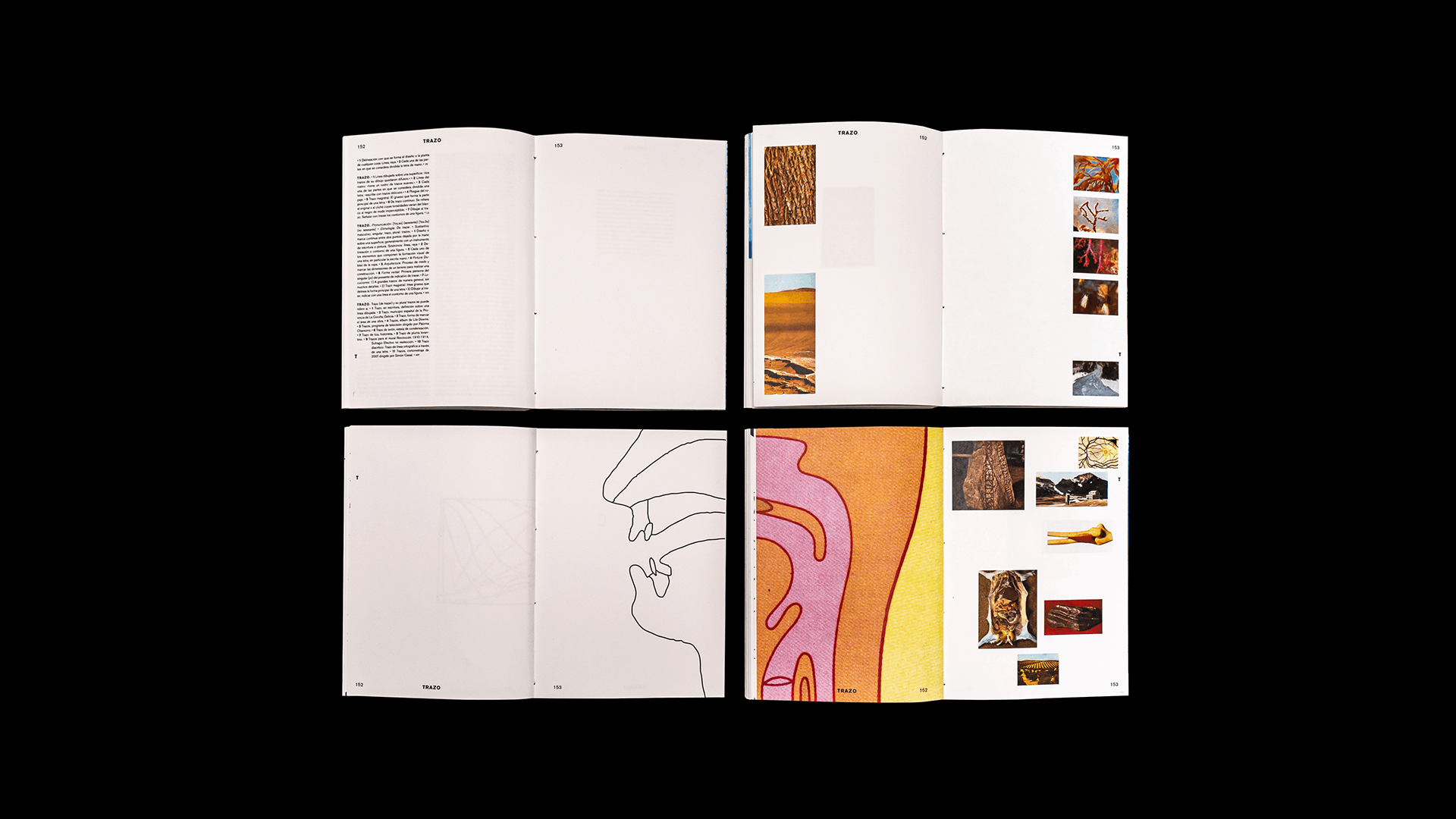 EMMdB_LaEnciclopedia_4