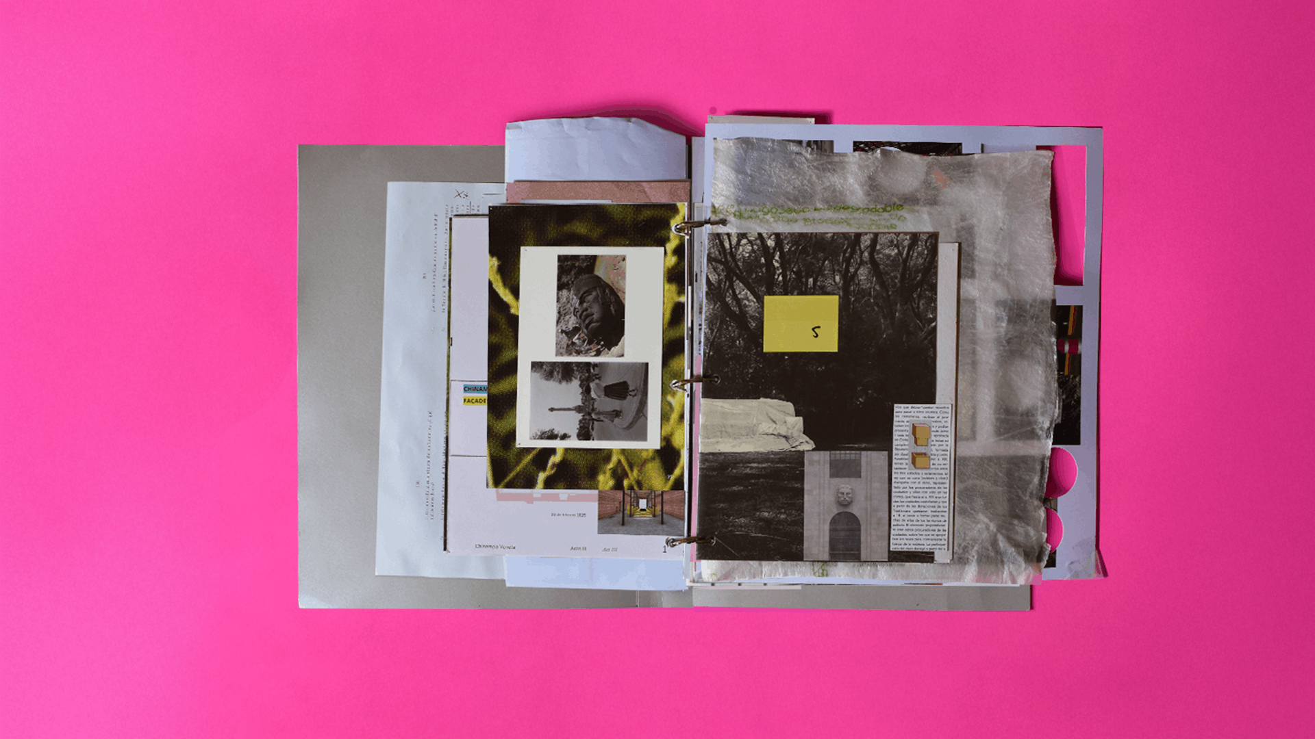 EMMdB_Libro2025_5