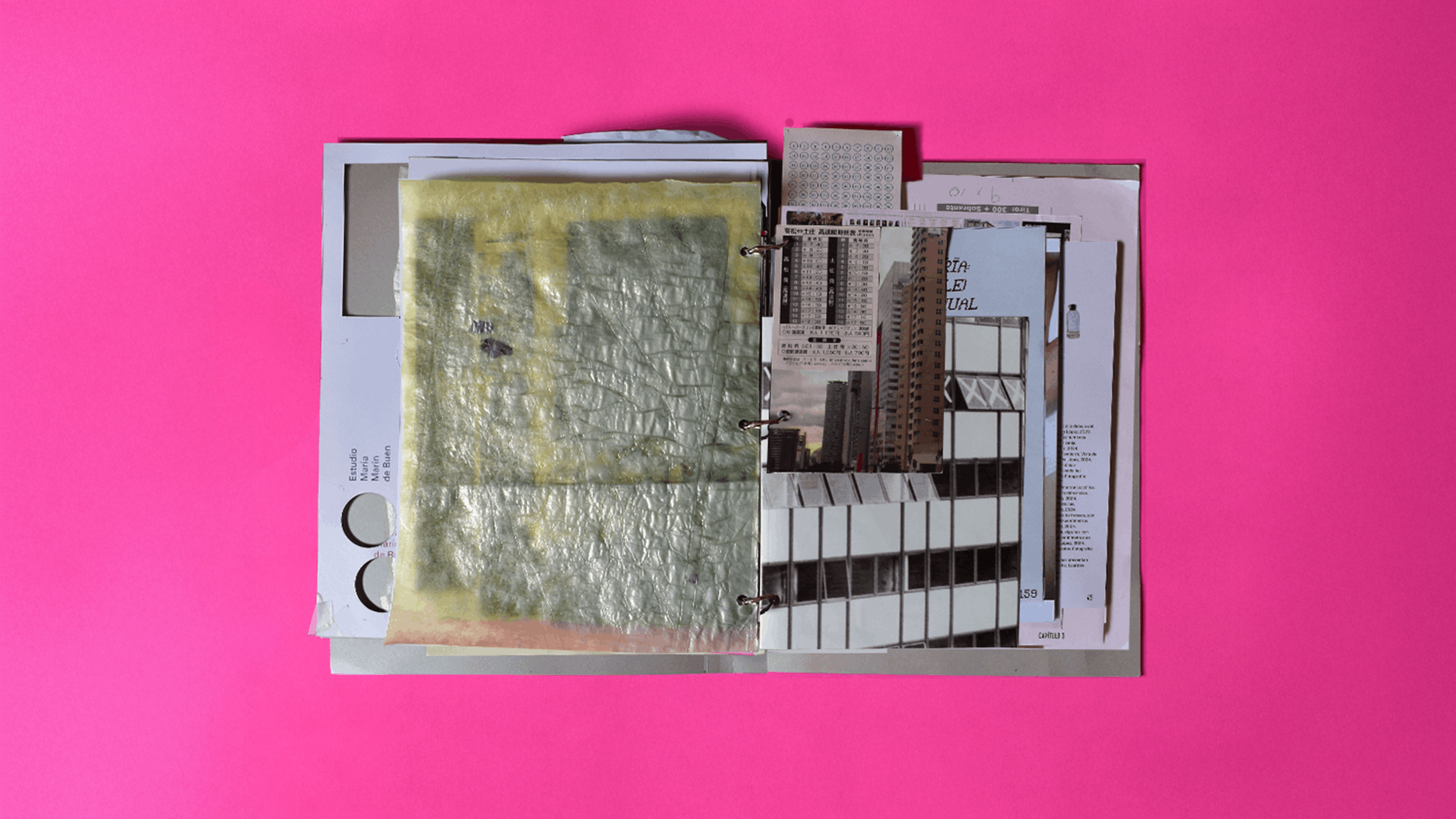 EMMdB_Libro2025_7