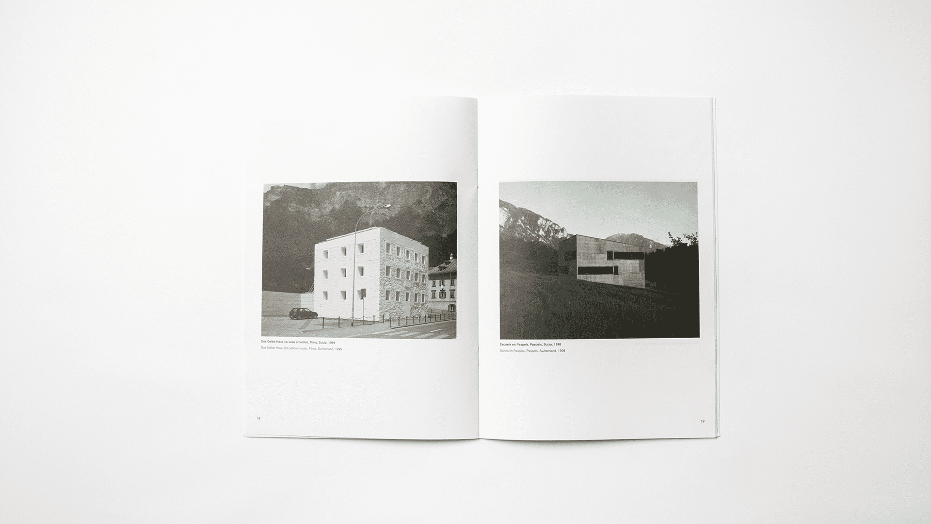 Valerio Olgiati, The Idea of Architecture