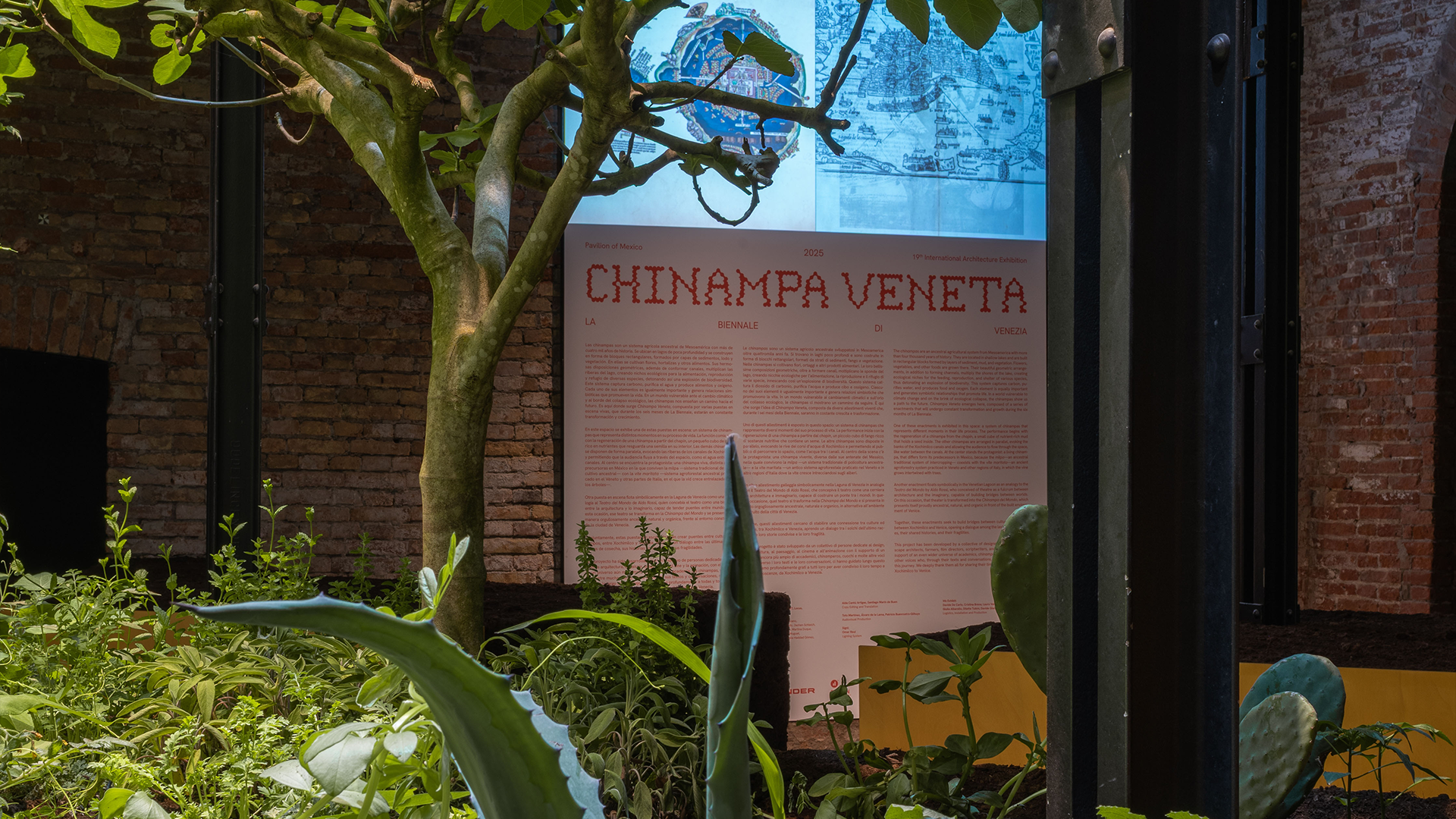 Chinampa Veneta 2